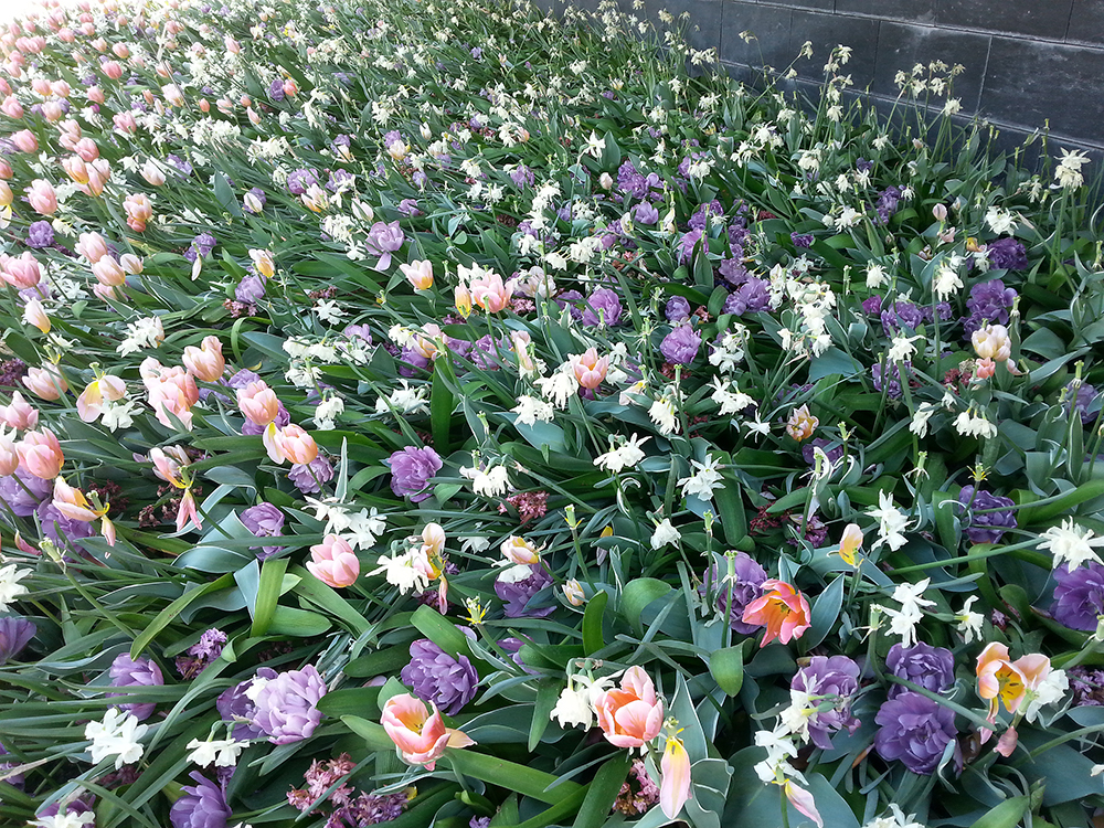  composizione arazzo di fiori