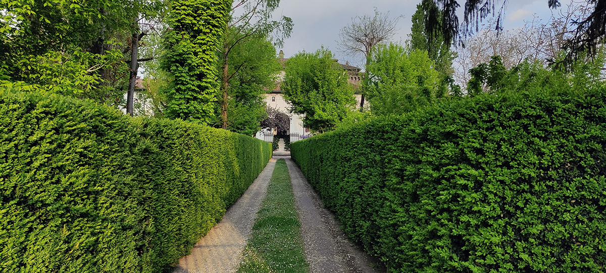 canale-ottico