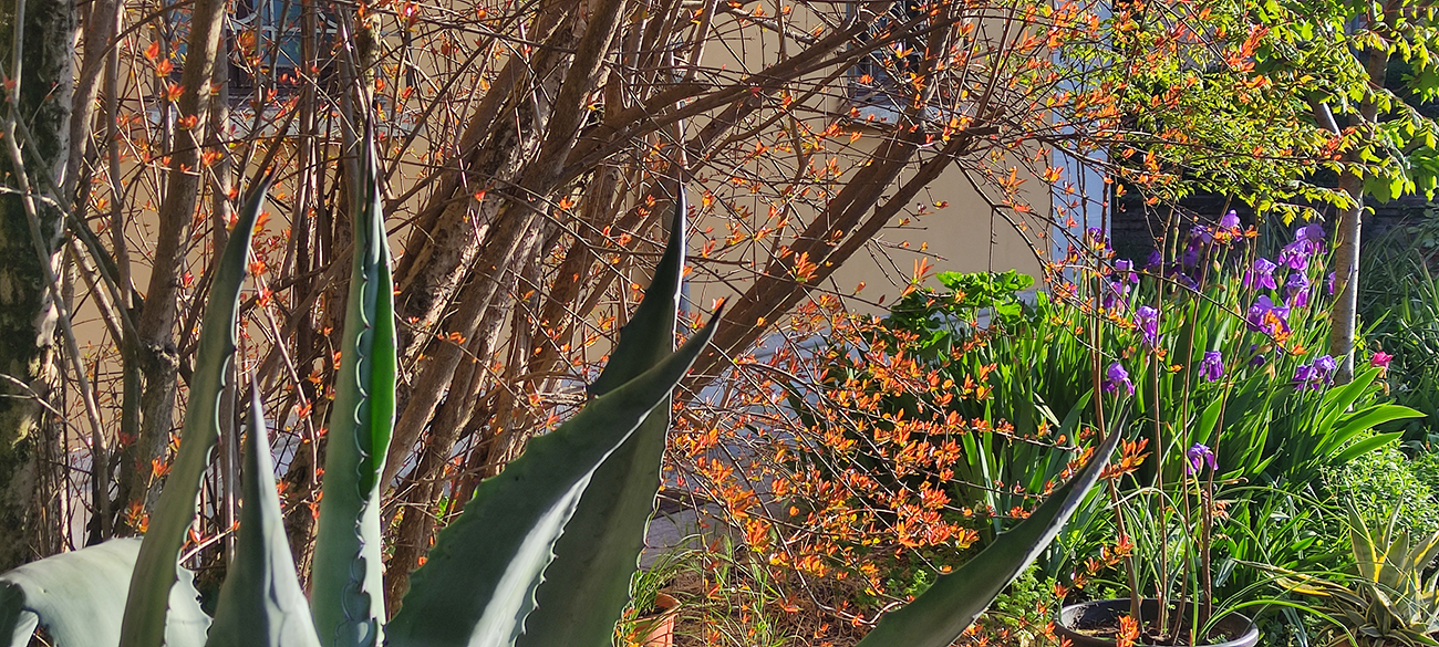 struttura del giardino