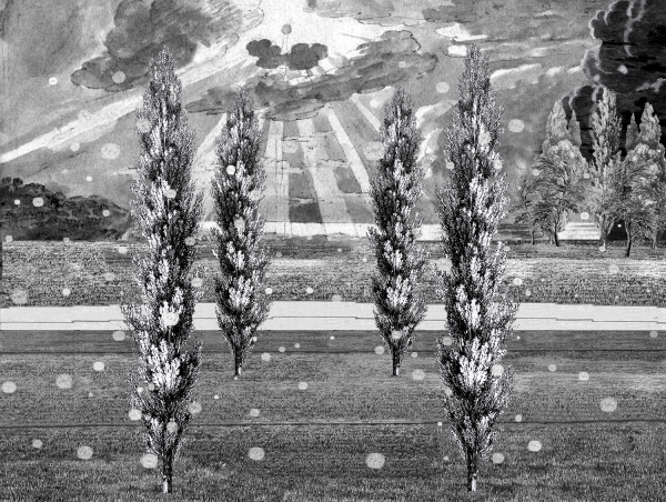 Progettazione-del-parco