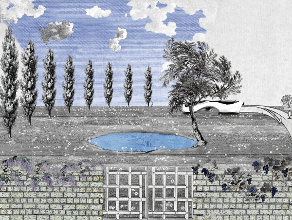 Progettazione-del-giardino-le-linee-curve