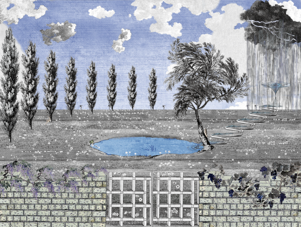 Progettazione-ecologica-del giardino